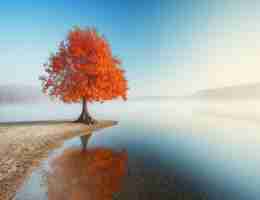 互‌联‍网﻿智​能‍云‍主‌机‌